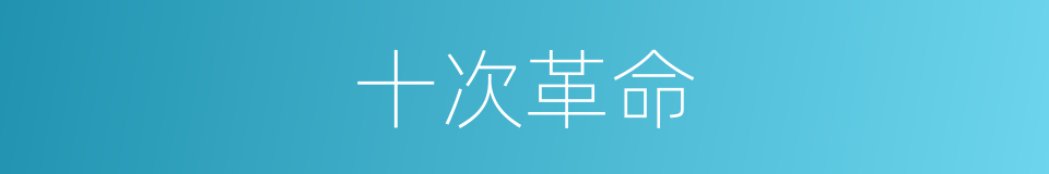 十次革命的同义词