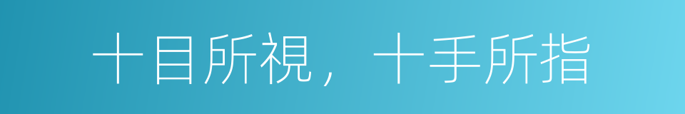 十目所視，十手所指的意思
