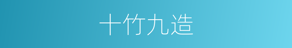 十竹九造的同义词