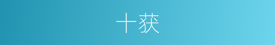 十获的同义词