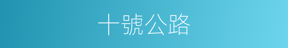 十號公路的同義詞