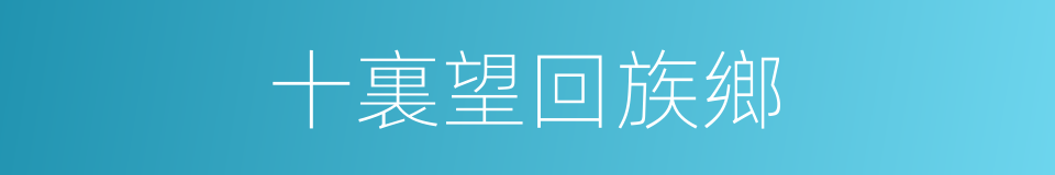 十裏望回族鄉的同義詞