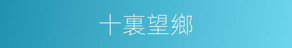 十裏望鄉的同義詞