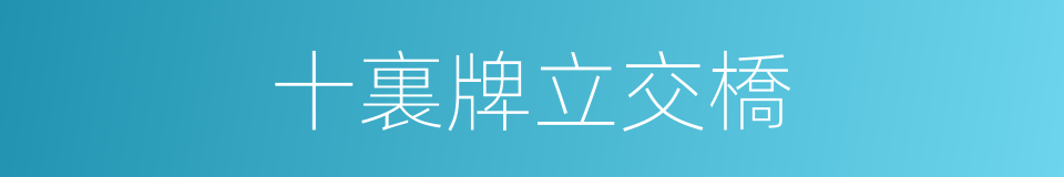 十裏牌立交橋的同義詞