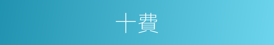 十費的同義詞