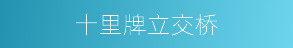 十里牌立交桥的同义词