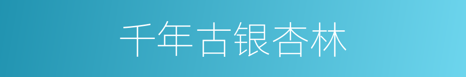 千年古银杏林的同义词