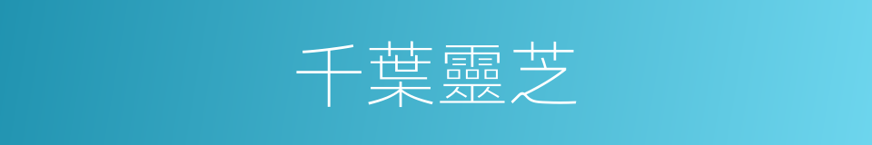 千葉靈芝的同義詞