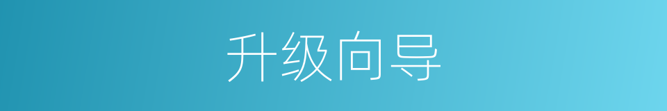 升级向导的同义词