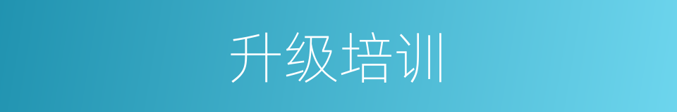 升级培训的同义词
