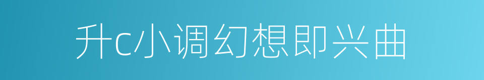 升c小调幻想即兴曲的同义词