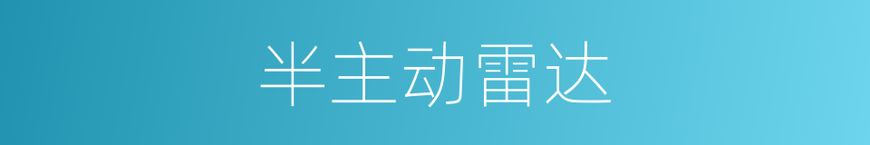 半主动雷达的同义词