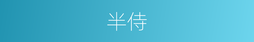半侍的同义词