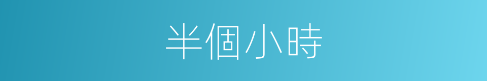 半個小時的同義詞
