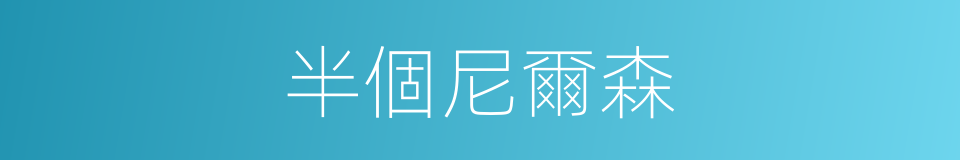 半個尼爾森的同義詞