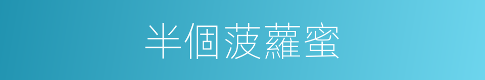 半個菠蘿蜜的同義詞