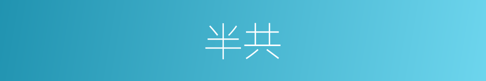半共的同义词