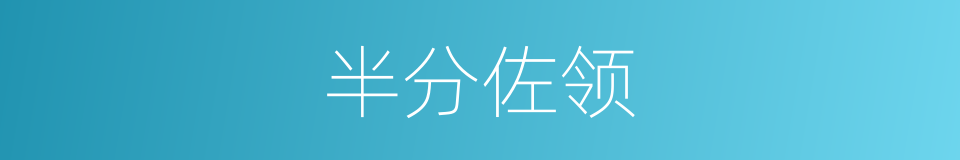半分佐领的同义词