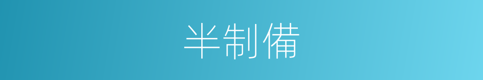 半制備的同義詞