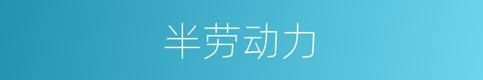 半劳动力的意思