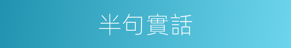 半句實話的同義詞