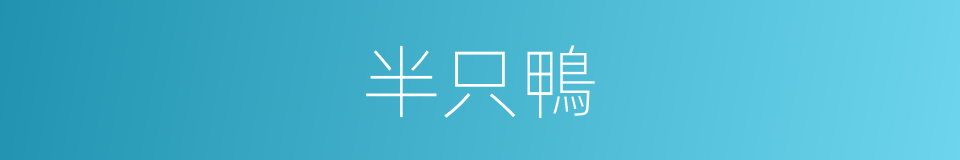 半只鴨的同義詞