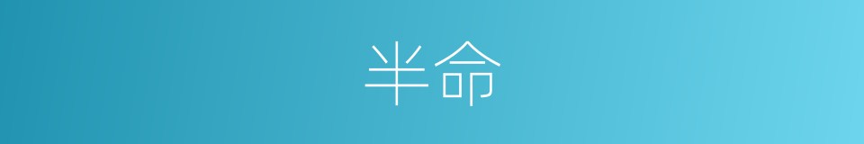 半命的同义词