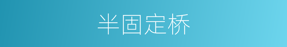 半固定桥的同义词