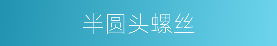 半圆头螺丝的同义词
