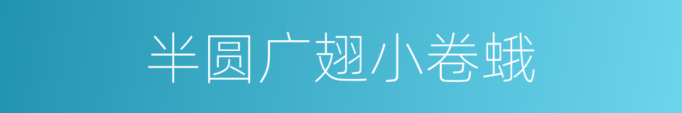 半圆广翅小卷蛾的同义词