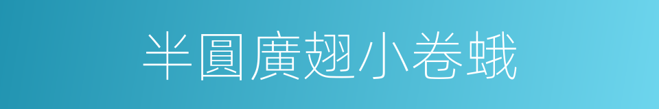 半圓廣翅小卷蛾的同義詞