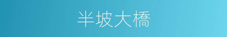 半坡大橋的同義詞