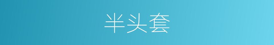 半头套的同义词