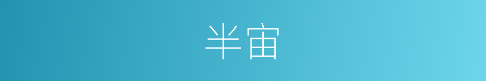 半宙的同义词