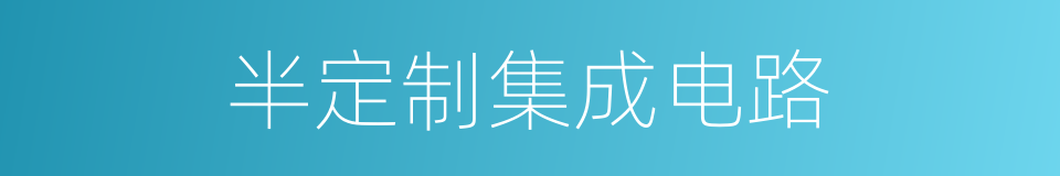 半定制集成电路的同义词