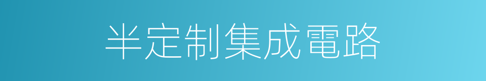 半定制集成電路的同義詞