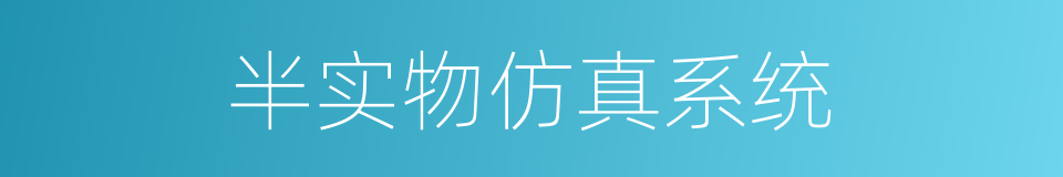半实物仿真系统的同义词