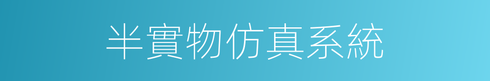 半實物仿真系統的同義詞