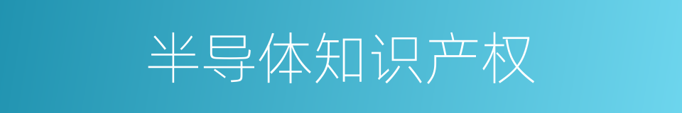 半导体知识产权的同义词