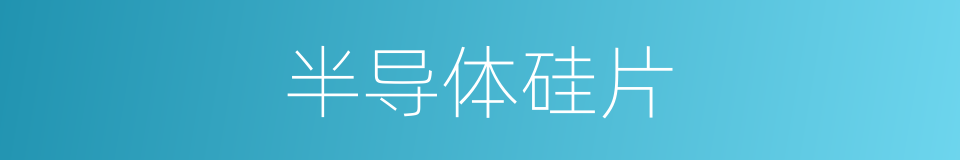 半导体硅片的同义词