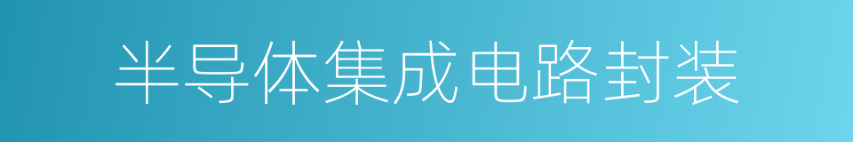 半导体集成电路封装的同义词