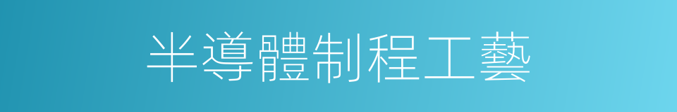 半導體制程工藝的同義詞