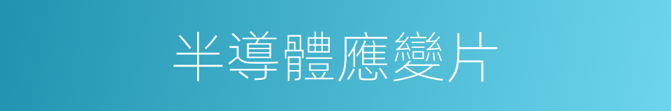半導體應變片的同義詞