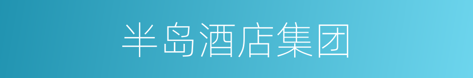 半岛酒店集团的同义词