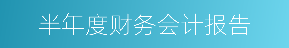 半年度财务会计报告的同义词