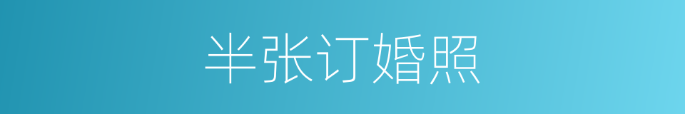半张订婚照的同义词