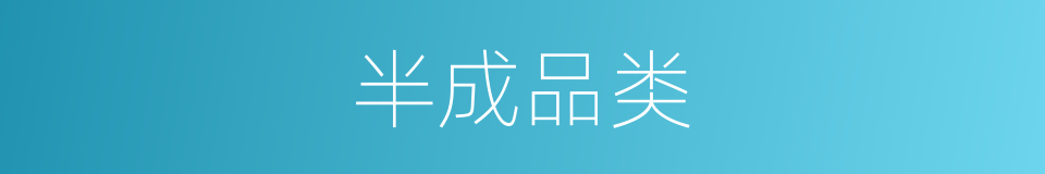 半成品类的同义词