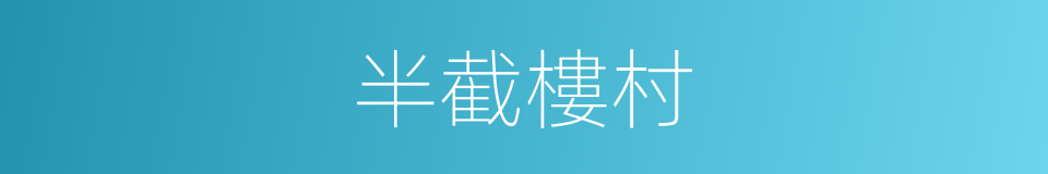 半截樓村的同義詞