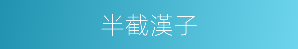 半截漢子的意思