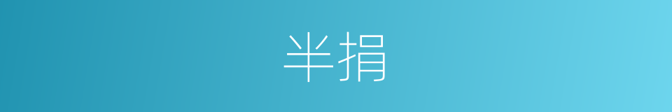半捐的同义词